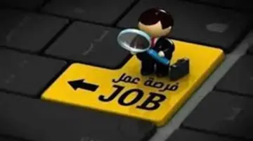 فرص عمل برواتب تصل لـ11 ألف جنيه وتأمينات وزيادة سنوية.. لا تفوت الفرصة